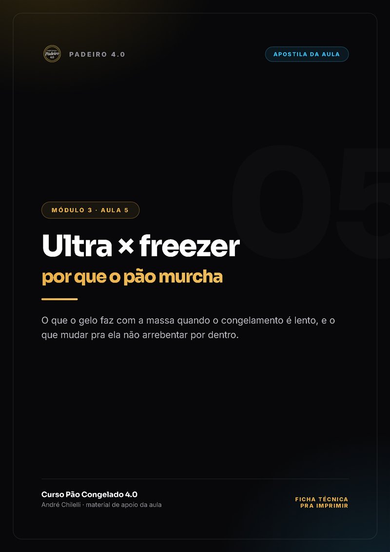 Apostila: ultra contra freezer, por que o pão murcha